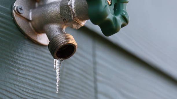 Best Plumbing Services Near Me  in Magnolia Springs, AL