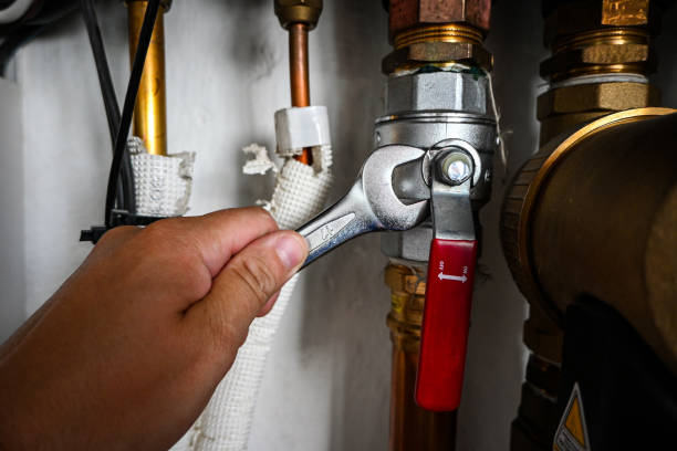 Best Plumbing Repair Near Me  in Magnolia Springs, AL